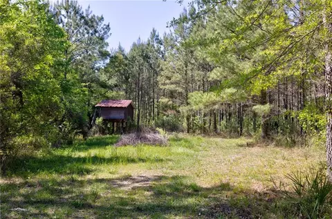 0 Juniper Ln, Townsend, GA 31331 photo 4