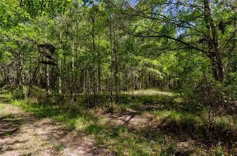 0 Juniper Ln, Townsend, GA 31331 photo 7