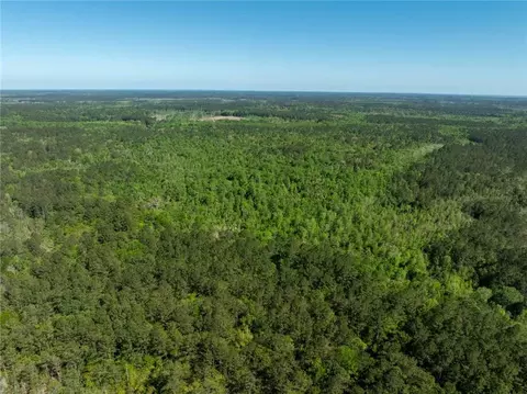 0 Juniper Ln, Townsend, GA 31331 photo 10