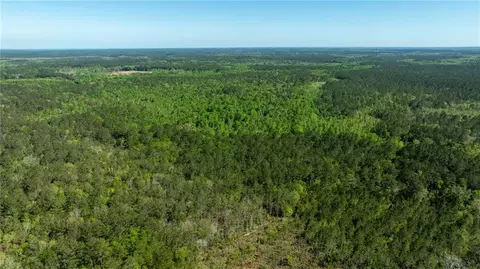 0 Juniper Ln, Townsend, GA 31331 photo 11