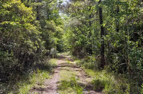 0 Juniper Ln, Townsend, GA 31331 photo 9
