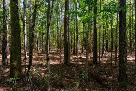 0 Juniper Ln, Townsend, GA 31331 photo 6