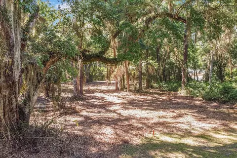 lot80 SE Tolomato Drive Dr, Darien, GA 31305