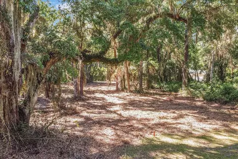 lot80 SE Tolomato Drive Dr, Darien, GA 31305