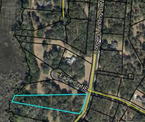 lot241 Coopers Landing Dr NE, Townsend, GA 31331