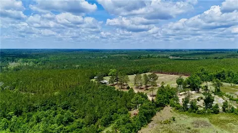 0 Neily Wagon Rd, Helena, GA 31037