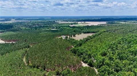 0 Neily Wagon Rd, Helena, GA 31037