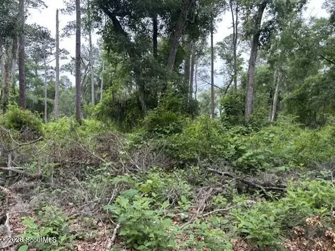 9 Lot Hudson Creek Ct SE #TOLOMATO ISLAND, Darien, GA 31305