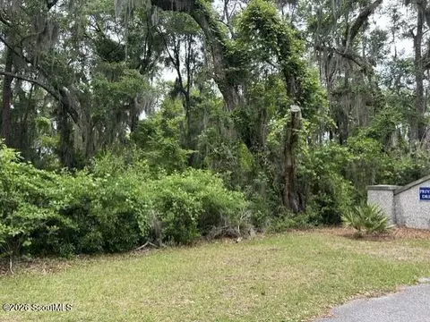 46 Lot St Josephs Dr SE #TOLOMATO ISLAND, Darien, GA 31305