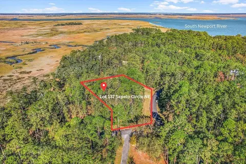 lot137 Sapelo Cir NE #137, Townsend, GA 31331