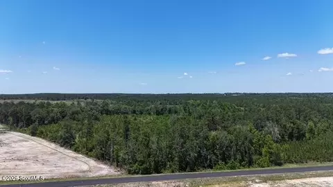 0 Oscar Tippins Rd, Baxley, GA 31513