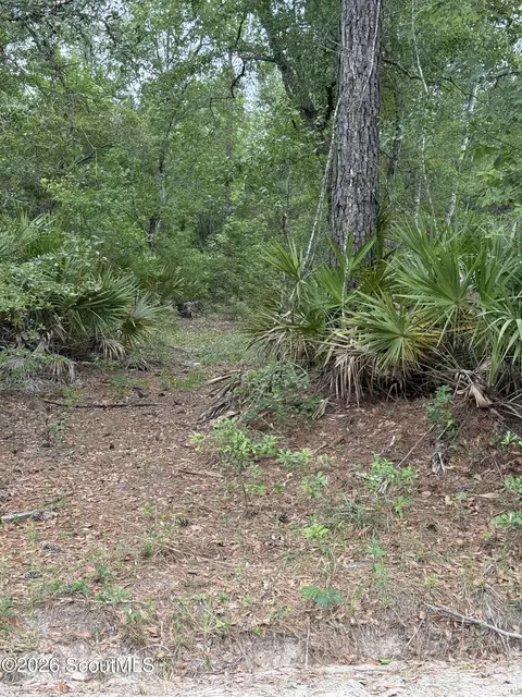 00 Sams Trail Trl, Hortense, GA 31543