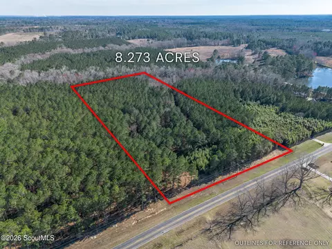 lot1 Ben Giddens Rd, Eastman, GA 31023