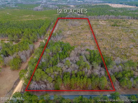 Tract 1 Wilson Woodard Road, Hawkinsville, GA 31036
