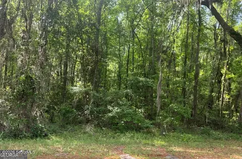 0 Young Man Rd NE, Townsend, GA 31331