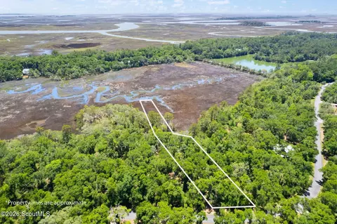 lot54 St Josephs Pt, Darien, GA 31305