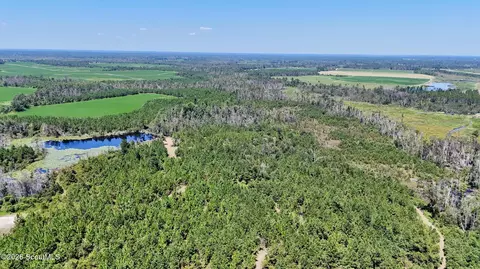Tract 2 Rhonda Coleman Road, Hazlehurst, GA 31539