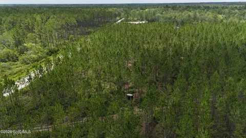 0 Fire Tower Rd, Manor, GA 31550 photo 5