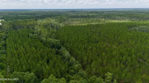 0 Fire Tower Rd, Manor, GA 31550 photo 4