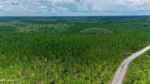 0 Fire Tower Rd, Manor, GA 31550 photo 6
