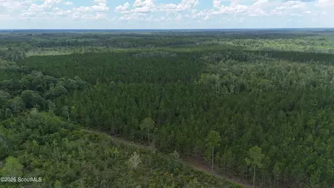 0 Fire Tower Rd, Manor, GA 31550 photo 3