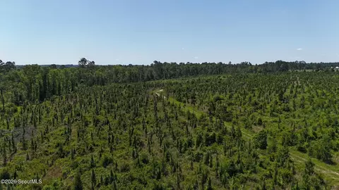 0 Deer Run Rd, Vidalia, GA 30474