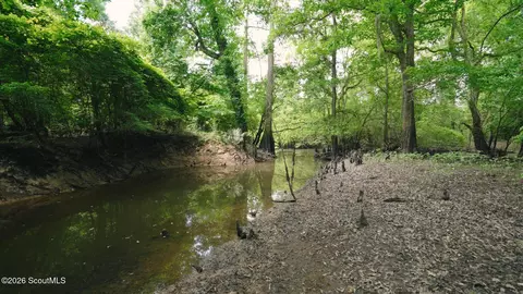 0 E River Rd, Jacksonville, GA 31544 photo 9