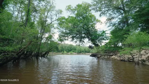 0 E River Rd, Jacksonville, GA 31544 photo 3