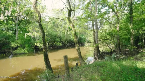 0 E River Rd, Jacksonville, GA 31544 photo 7