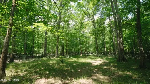 0 E River Rd, Jacksonville, GA 31544 photo 13