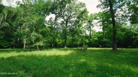 0 E River Rd, Jacksonville, GA 31544 photo 4