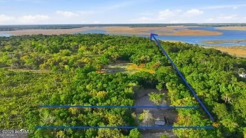 View/Area - 2099 Susie Baker Rd NE, Shellman Bluff, GA 31331 photo 3 of 3