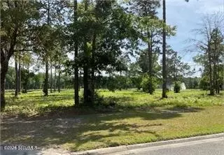 0 Gannet Trl #25, Waverly, GA 31565
