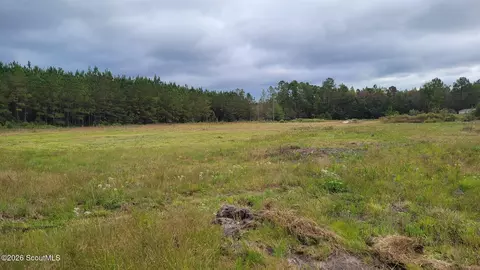 88 Rogers Break Rd, Jesup, GA 31546