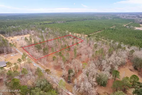 Tract 2 Loggan Lane, Jesup, GA 31546
