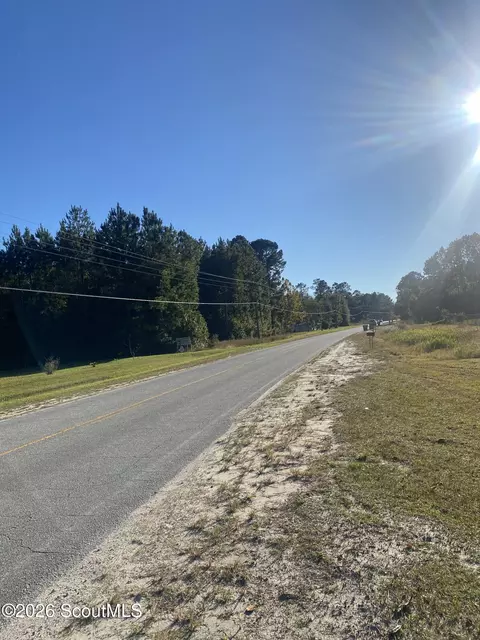 Shellman Bluff Road Ne, Townsend, GA 31331 photo 2
