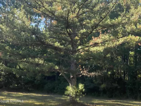 Shellman Bluff Road Ne, Townsend, GA 31331