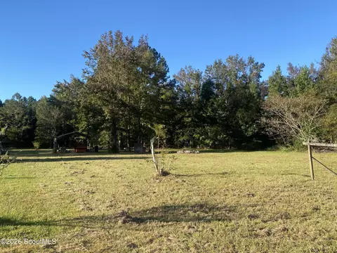Shellman Bluff Road Ne, Townsend, GA 31331 photo 3