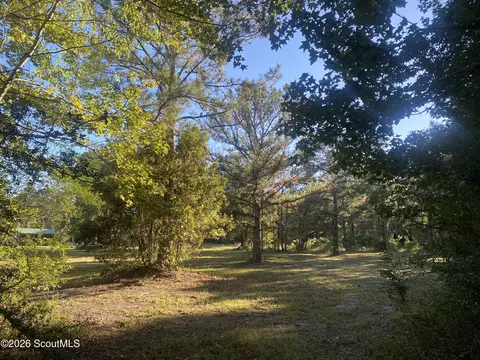 Shellman Bluff Road Ne, Townsend, GA 31331 photo 6