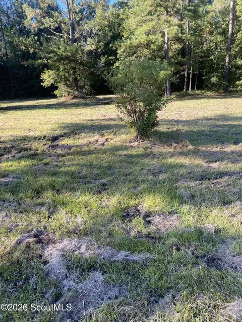Shellman Bluff Road Ne, Townsend, GA 31331 photo 4