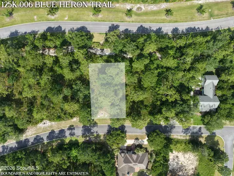 lot6 Blue Heron Trl #6, Waverly, GA 31565