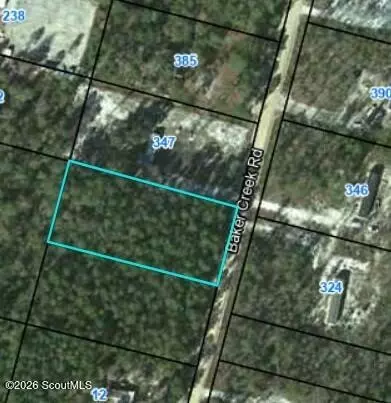 0 Baker Creek Rd, Nahunta, GA 31553 photo 2