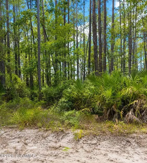 0 Baker Creek Rd, Nahunta, GA 31553