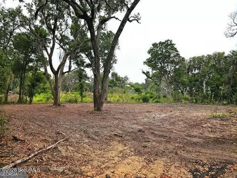 2079 Susie Baker Rd NE #2079, Shellman Bluff, GA 31331 photo 5