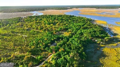 2119 Susie Baker Rd NE, Shellman Bluff, GA 31331