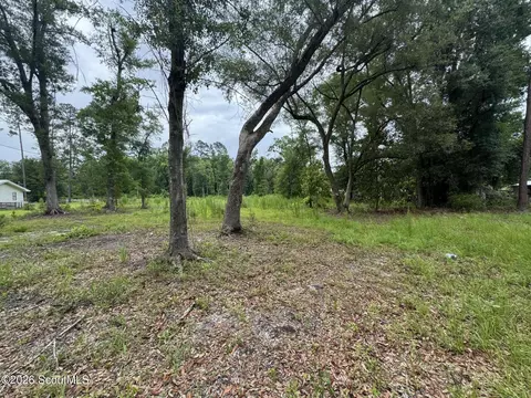 0 Scrabble Rd, Blackshear, GA 31516 photo 5