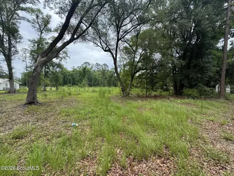 0 Scrabble Rd, Blackshear, GA 31516 photo 4