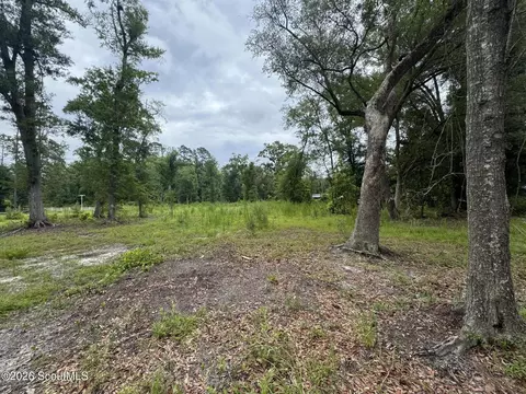 0 Scrabble Rd, Blackshear, GA 31516