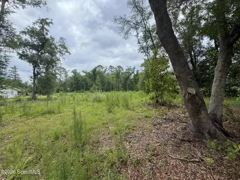 0 Scrabble Rd, Blackshear, GA 31516 photo 6