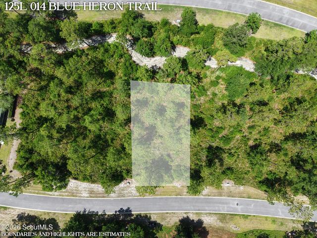lot14 Blue Heron Trl #14, Waverly, GA 31565